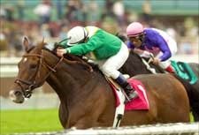 King's Drama Closes Gap in Frankel Resume King's Drama Closes Gap in Frankel Resume