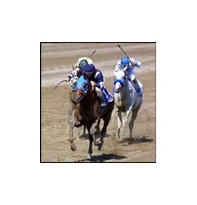 Lido Palace, winning the Whitney, is among the top contenders for the Clark Handicap.