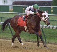 Champion Surfside Retired; Might be Going to Unbridled Champion Surfside Retired; Might be Going to Unbridled