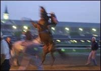 Point Given Gives Baffert a Scare Derby Morning Point Given Gives Baffert a Scare Derby Morning