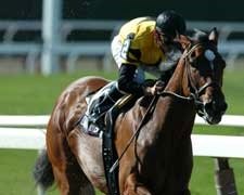 Dream Rush 9 1/4-Length Winner of Nassau County BC Dream Rush 9 1/4-Length Winner of Nassau County BC
