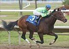 Fire Slam triumphs in the Lecomte Stakes, Saturday at Fair Grounds.