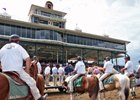 KY Horse Industry Proves Threat Not Hollow KY Horse Industry Proves Threat Not Hollow