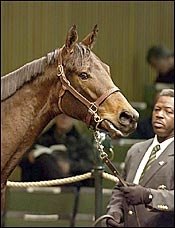 Forever Partners Sells For $410,000 as Keeneland January Sale Opens Forever Partners Sells For $410,000 as Keeneland January Sale Opens