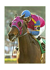 Starrer, winning the Santa Margarita.