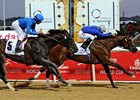 Regal Ransom takes the UAE Derby over big favorite Desert Party.