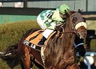 Keeneland January Sale: Pedigree Power Keeneland January Sale: Pedigree Power