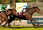 Silentio wins the Sir Beaufort Stakes.
