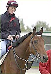 Rock Of Gibraltar Part of Coolmore's Australian Team Rock Of Gibraltar Part of Coolmore's Australian Team