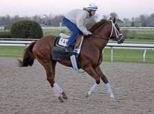 Cowtown Cat Drills :58 2/5 at Keeneland Cowtown Cat Drills :58 2/5 at Keeneland