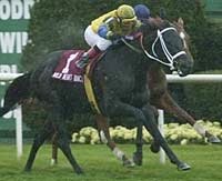 Wild Heart Dancing Wires Athenia Handicap Wild Heart Dancing Wires Athenia Handicap