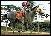 Pimlico Race Report: Docent Shows the Way Pimlico Race Report: Docent Shows the Way