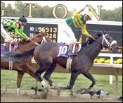 Orientate to Stand at Gainesway Orientate to Stand at Gainesway