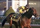 Premium Tap coasts home with a comfortable win in the Clark Handicap, Sunday at Churchill Downs.