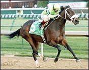 Allamerican Bertie Upsets in Falls City Allamerican Bertie Upsets in Falls City