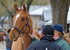 Keeneland November Sale
