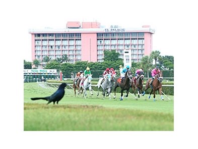 Calder Race Course