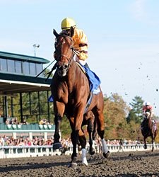 Successful Dan Romps in Closing Day Fayette Successful Dan Romps in Closing Day Fayette