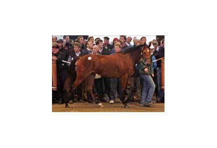 Sadler's Wells filly tops day one of Tattersalls yearling sale.