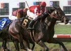Maiden Wins Del Mar Debutante Maiden Wins Del Mar Debutante