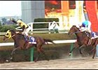 Eagle Cafe, en route to victory in the Japan Cup Dirt.