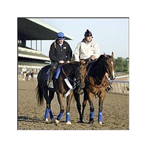 Belmont Stakes favorite Smarty Jones, left, with exercise rider Pete Van Trump aboard, walks with trainer John Servis atop stablemate Butterscotch at Belmont Race Track on Friday morning.