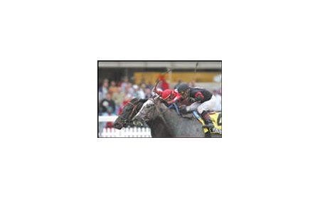 Offlee Wild, with jockey in red cap, is among the Fountain of Youth favorites.