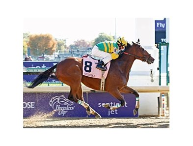 Distinctive Dixie rolls to victory in the Chilukki.