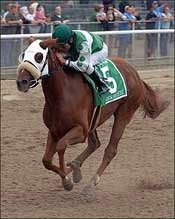 Meadow Breeze Blows Away Matron at 34-1 Meadow Breeze Blows Away Matron at 34-1
