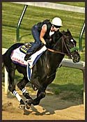 War Emblem In 'Awesome' Final Work for Belmont Stakes War Emblem In 'Awesome' Final Work for Belmont Stakes
