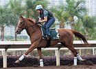 Red Cadeaux