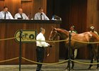 OBS August Yearling Sale Finishes Positively OBS August Yearling Sale Finishes Positively