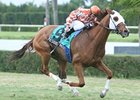 Millionaire Presious Passion tries Santa Anita for the first time in the Sunshine Millions Turf.