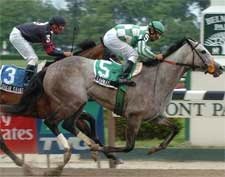 Jerkens Needs Teammate to Win Fifth Shuvee Jerkens Needs Teammate to Win Fifth Shuvee