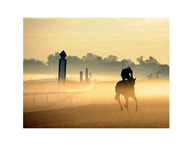 Fair Grounds