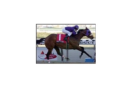 Gotham Stakes winner Richly Blended hopes to duplicate that effort in the Wood Memorial.