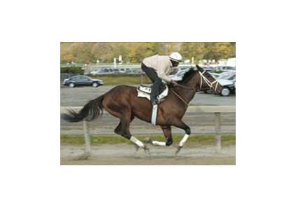 Likely Distaff favorite Fleet Indian was among the runners working at Belmont Sunday morning for trainer Todd Pletcher.