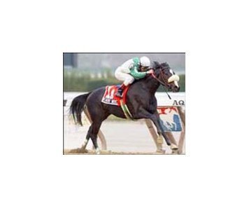 Beautiful America captures 5th Avenue Division of NY Stallion Stakes.