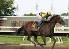Seattle Smooth returns from a seven-month layoff in the Bed o' Roses Handicap.