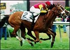 Quiet Resolve winning the 2001 Dixie Stakes at Pimlico Race Course.