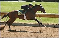 Consignors Have Mixed Emotions About Keeneland April Sale's Prospects Consignors Have Mixed Emotions About Keeneland April Sale's Prospects