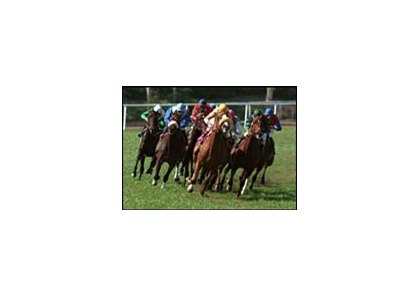 Bienamado posted his third grade I win in the Whittingham.
