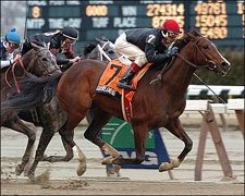 Daydreaming Wins for Resurgent McGaughey Daydreaming Wins for Resurgent McGaughey