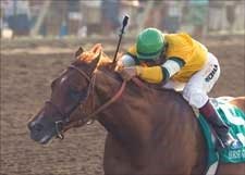 Horse Greeley Wins Del Mar Futurity to Close Meeting Horse Greeley Wins Del Mar Futurity to Close Meeting