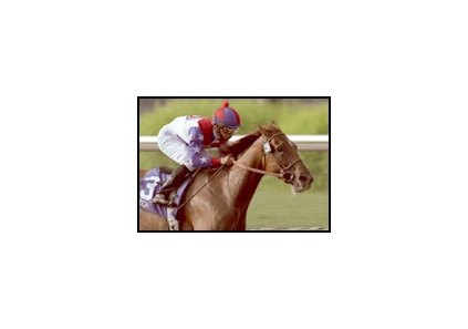 Azeri won her fifth straight grade I in the Clement L. Hirsch Handicap.