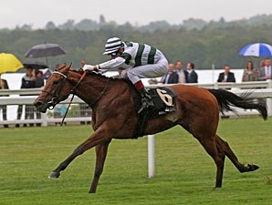 Immortal Verse Last-to-First in Coronation Immortal Verse Last-to-First in Coronation