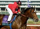 Grade II Winner Rush Bay to Murmur Grade II Winner Rush Bay to Murmur