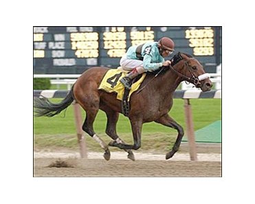 Birdstone and Jerry Bailey cruise to victory in the $500,000 Champagne, Saturday at Belmont.