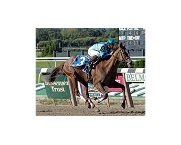Longshot Park Avenue Ball surprises everyone with Futurity win.