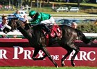 Shareta cruises to the win in the Qatar Prix Vermeille.<br><a target="blank" href="http://photos.bloodhorse.com/AtTheRaces-1/at-the-races-2012/22274956_jFd5jM#!i=2090517641&k=cJ73xc4">Order This Photo</a>